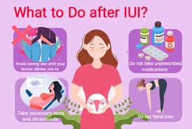 IUI success tips